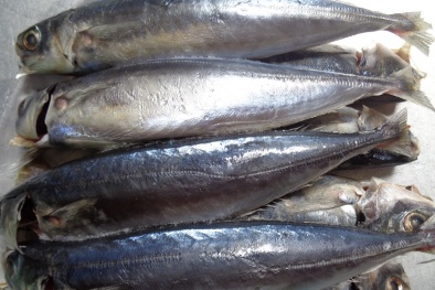 Top thực phẩm bẩn hot nhất tuần qua: Phát hiện 30 tấn cá nục có chất cực độc, tuyệt đối cấm