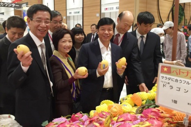 Các tân đại sứ nhận hàng loạt đặt hàng từ doanh nghiệp