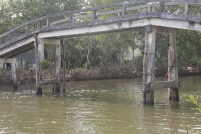 12 cây cầu thép dây văng đã đến với người dân Đồng bằng Sông Cửu Long