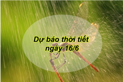 Dự báo thời tiết ngày 16/6/2016: Bắc Bộ có mưa to và dông