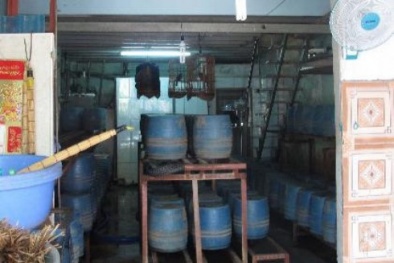 Phát hiện một cơ sở trồng giá đỗ ở TP.HCM có dùng hóa chất Trung Quốc