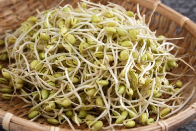 Mẹo phân biệt giá đỗ sạch và giá đỗ ngâm hóa chất đơn giản nhất