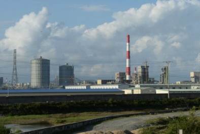 Cuộc đếm ngược về việc công bố nguyên nhân cá chết