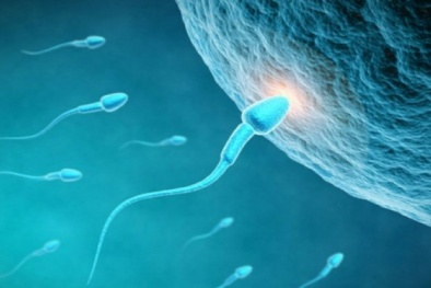 Phụ nữ Nhật được hỗ trợ tài chính để đông lạnh trứng