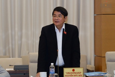 Chính phủ phải làm sao khi Quốc hội quyết không 'thương' nữa