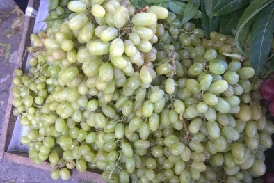 Nho Tàu, Cam Trung Quốc không hạt: Bà nội trợ hớ nặng