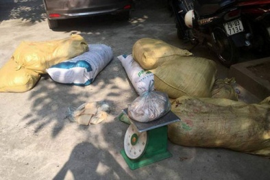 Tin an toàn thực phẩm hot ngày 21/6: Thịt thối, thịt bẩn ‘hết hạn’ tuồn vào Thủ đô