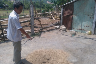 Tin pháp luật an ninh 24h qua: Bắt kẻ cuồng tình sát hại nữ sinh Đà Nẵng