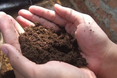 Hàng loạt cơ sở bị bêu tên trong ‘sổ đen’ vì ham trục lợi từ phân bón giả