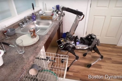 Alphabet ra mắt chó robot có khả năng dọn dẹp nhà cửa