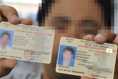 Hà Nội: Từ 4/7, đổi giấy phép lái xe nhựa tại cơ quan
