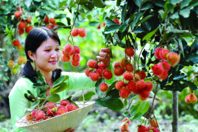 Đồng bằng sông Cửu Long còn có nhiều lợi thế bị bỏ ngỏ