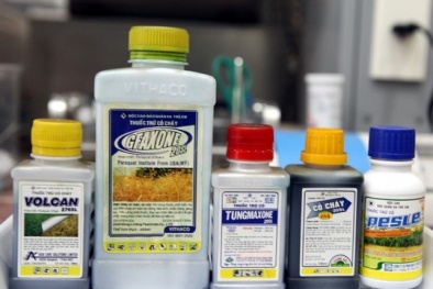 Tuyên Quang: Hốt hoảng vì trẻ 2 tuổi uống nhầm thuốc diệt cỏ