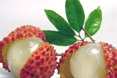 Bất ngờ với những bài thuốc dân gian hiệu nghiệm từ vải thiều