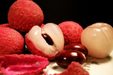 Kỹ thuật trồng cây vải thiều cho năng suất cao nhất hiện nay