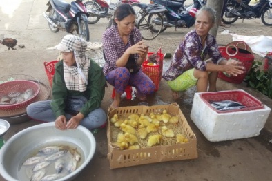 Ký sự miền Trung: Biển đói cá, người đói cá