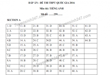 Đáp án đề thi môn Tiếng Anh THPT quốc gia năm 2016 mã đề 975,415,642