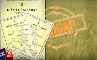 Ngang nhiên mua bán chứng nhận VietGAP trái phép