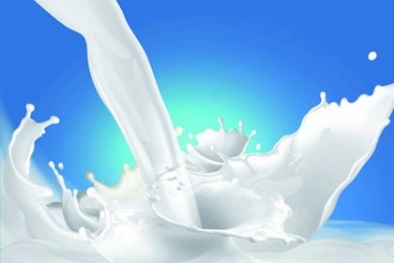 Nguy cơ tử vong vì uống sữa tươi chưa tiệt trùng