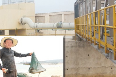 Manh mối bất ngờ trong quá trình tìm kiếm nguyên nhân cá chết