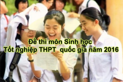 Đề thi môn Sinh học tốt nghiệp THPT Quốc gia năm 2016 chính thức
