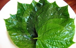 Lá lốt ‘xóa tan’ đau nhức xương khớp 