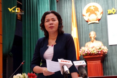 Tổng cục trưởng nằm trong diện có xe công ‘đưa đi rước về’