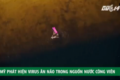 Phát hiện virus ăn não người trong nguồn nước ở công viên