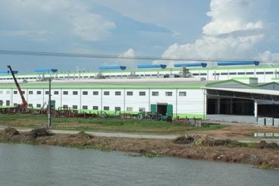 Thủ tướng yêu cầu kiểm tra nhà máy giấy có thể 'bức tử' sông Hậu