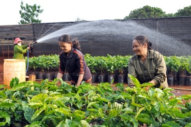 Đắk Lắk khuyến khích đầu tư vào nông nghiệp công nghệ cao