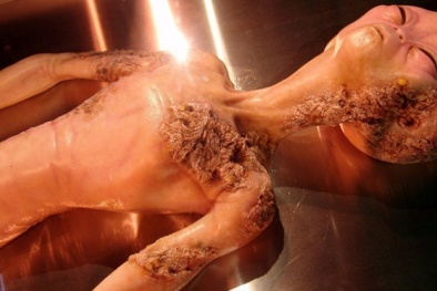 Giám đốc NASA tin có người ngoài hành tinh