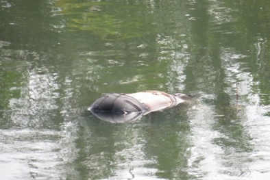 Bí ẩn thi thể cô gái chết úp mặt lập lờ trôi dưới cống thoát nước Hải Phòng