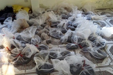 500 kg rắn hổ chúa trên đường xuất lậu sang Trung Quốc bị bắt giữ