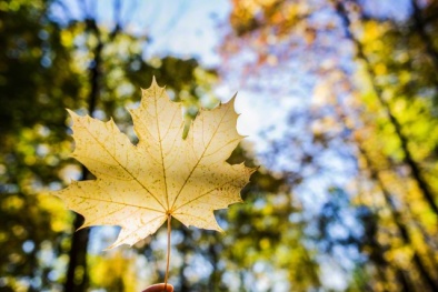 Dự báo thời tiết ngày mai 12/7/2016: Bắc Bộ sáng nắng chiều mưa