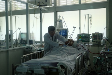 Nữ sinh nguy kịch dù chỉ bị ong đốt một mũi