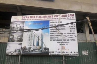 Công an vào cuộc việc mua bán nhà ở xã hội Rice City