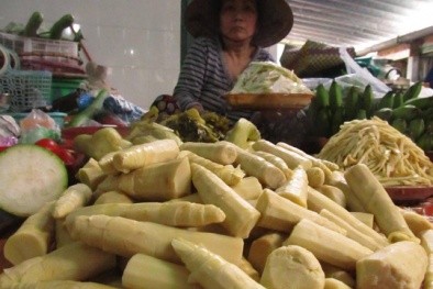Măng tươi Hà Nội nhiễm chất độc vàng ô