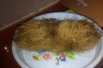 Xôn xao chuyện tìm thấy ‘cát lợn’ quý hiếm giá chục tỷ ở Vĩnh Phúc