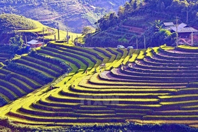 Du lịch Việt Nam làm gì để trở thành mũi nhọn?