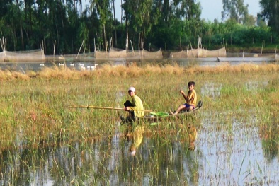Quặn lòng ngư dân An Giang vượt biên đánh cá bị bắn chết nơi đất khách