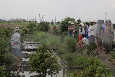 Bí ẩn thi thể mình trần, mặc quần cộc đen trong vườn mai Thủ Đức