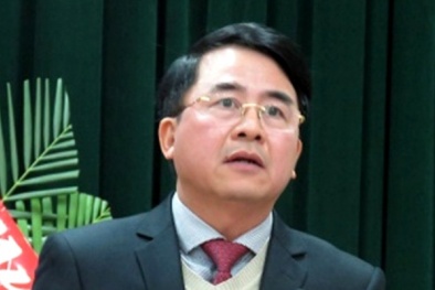 Được bầu làm Phó Chủ tịch UBND TP Hải Phòng nhưng Thủ tướng không phê chuẩn