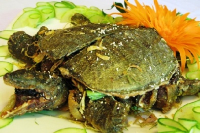 Cách nấu món ba ba rất ngon nhưng không ai dám làm vì sợ 'quả báo'