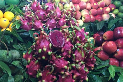 Thanh long ruột đỏ 'đắt gấp 30 lần' khi ra Thủ đô