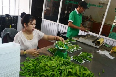 Gắn logo cho nông sản tránh nhầm lẫn hàng Trung Quốc