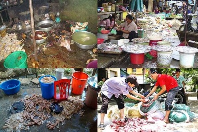Chỉ 1 tuần phạt hơn 2 tỷ đồng với gần 100 vụ thực phẩm bẩn