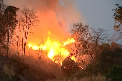 Rủ nhau lên rẫy đốt thực bì, 2 anh em nhà nghèo bị ‘giặc lửa’ cướp mạng