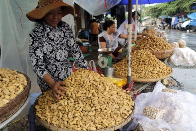Cảnh giác đậu phộng Trung Quốc giá rẻ tràn vào Việt Nam?