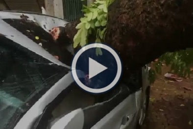 Hà Nội: Cây cổ thụ bật gốc đè bẹp ôtô, cây cối đổ la liệt đường