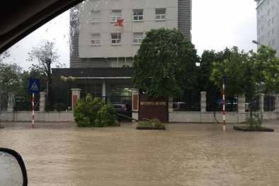 Tin mới nhất về bão số 1: Cảnh báo những hậu họa 'tác oai, tác quái' sau bão